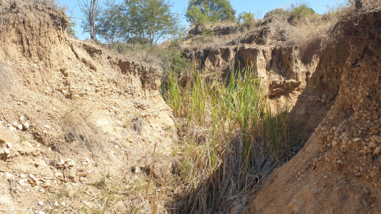 Flood damage on farm