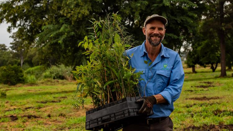 Community tree planting in the Lockyer Valley.