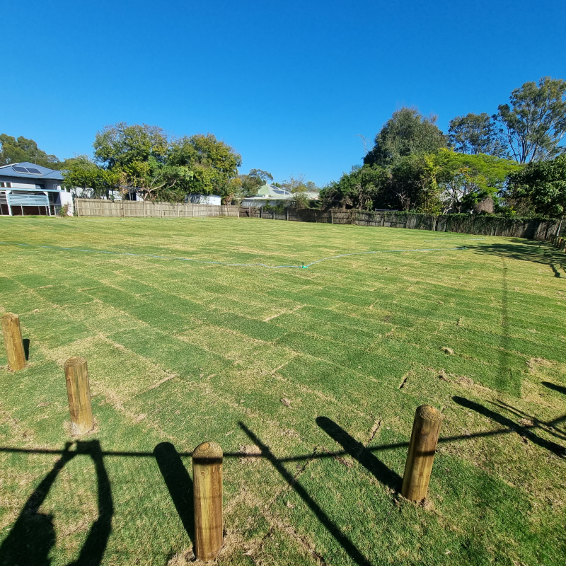 Rehabilitated land