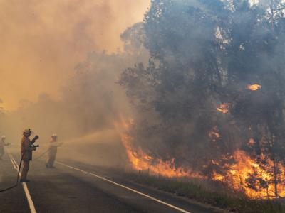 Rural Fire Brigade fighting fires