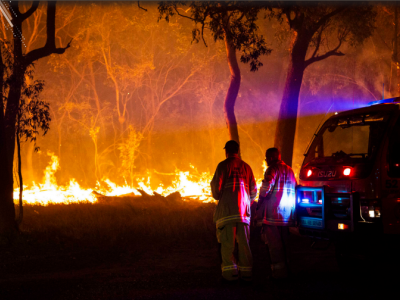 Front cover of Bushfires Report