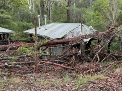 Environmental Recovery Package - SEQ Severe Storms